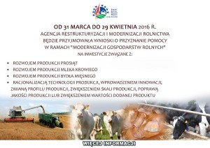 swinki_krowy_bydlo_2016abcd_m
